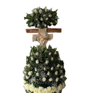 Rosa cristo